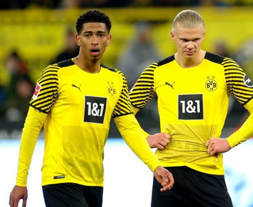 为什么主审需要在每次击球入地后即刻报废该颗棒球